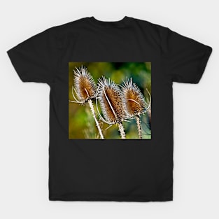 Autumnal Whisper T-Shirt